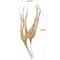 32" Beige Dried Plant Palm Leaf Natural Foliage